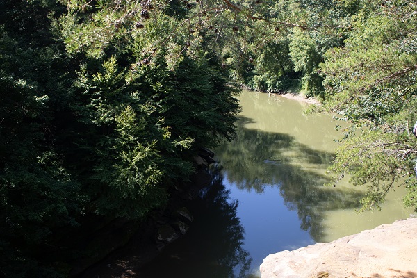 River running through a tree-flanked gorge